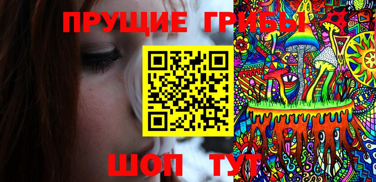 Псилоцибиновые грибы GOLDEN TEACHER Тайшет