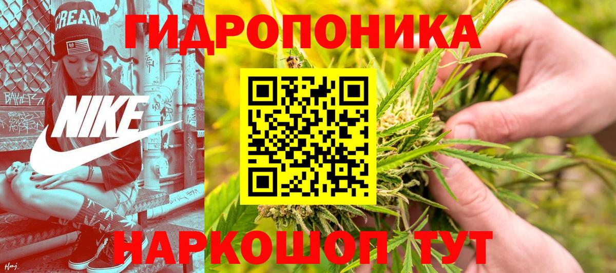 Тайшет  Бошки марихуана план  Вход с VPN  Каннабис THC 21% 